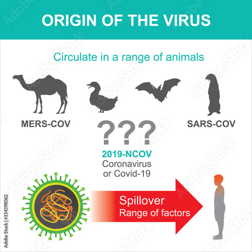 Origin of Coronavirus or Covid-19. Illustration health care and medical..