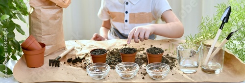 Plant seeds of micro greens beetroot coriander cabbage. The child points at the flower pots with the ground.