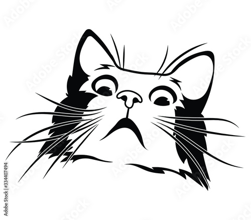 Cartoon head cat. Portrait of crooked cat with funny paws.Cat's face, who look after you. Vector illustration of funny pets.Tattoos.