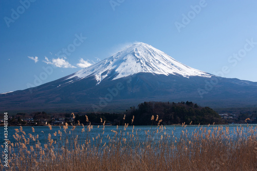 Highest Japanese mountain, Mt. Fuji, as seen from the lake Kawaguchi, grass in the foreground