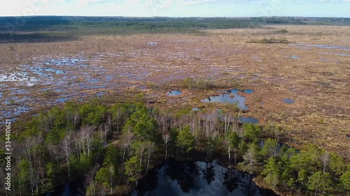 Aerial view of Dunika peat bog (mire) with small ponds in sunny spring (autumn) day with clouds, wide drone shot moving backwards photo