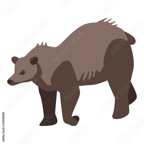 Zoo brown bear icon. Isometric of zoo brown bear vector icon for web design isolated on white background