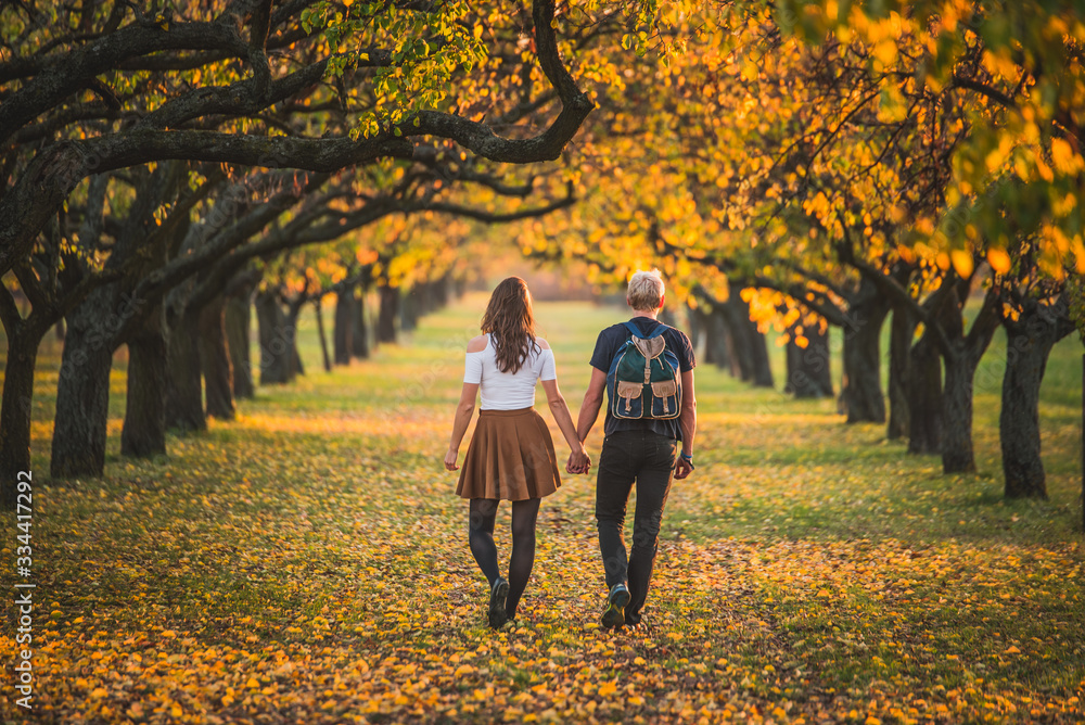 Couple walking together in autumn alley. Photo full of love with copy/edit space. Couple walking together in autumn alley. Photo full of love with copy/edit space.