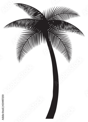palm tree silhouette vector illustration