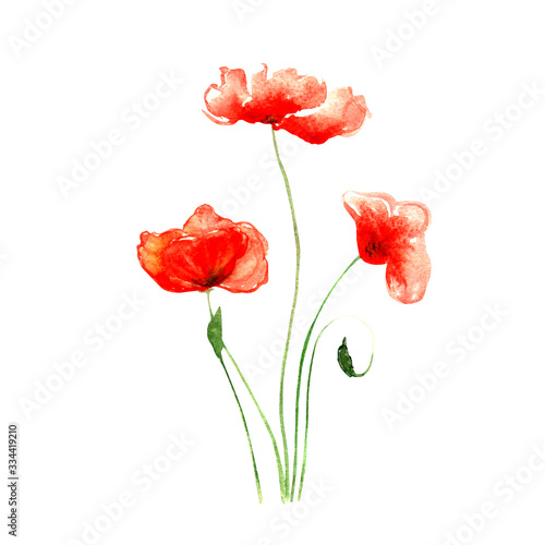 three red poppies with stems painted in watercolor