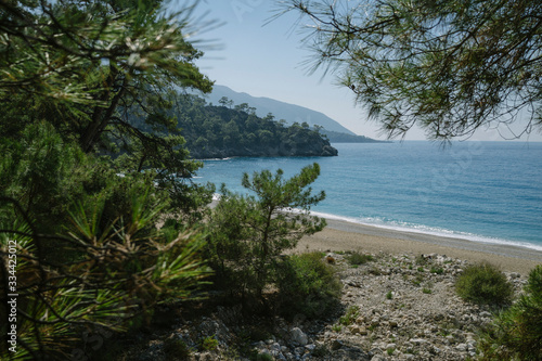 Wild beach, forest and sea