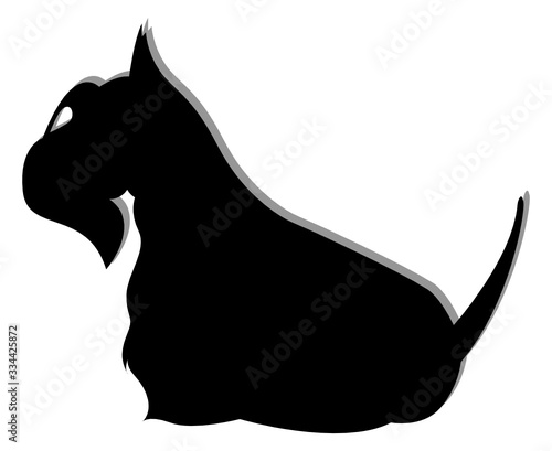 dogs animal a Scottish Terrier