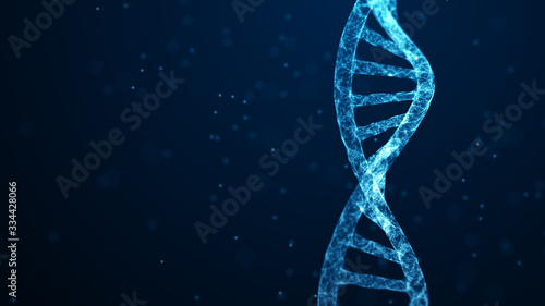 Abstract 3d polygonal wireframe DNA molecule helix spiral on blue. Medical science, genetic biotechnology, chemistry biology, gene cell concept. Medical science background.