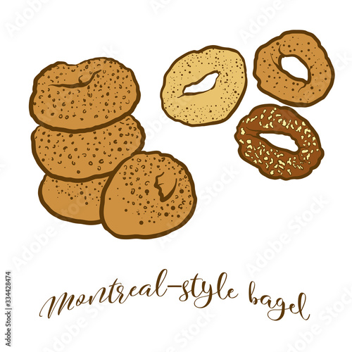 Colored drawing of Montreal-style bagel bread