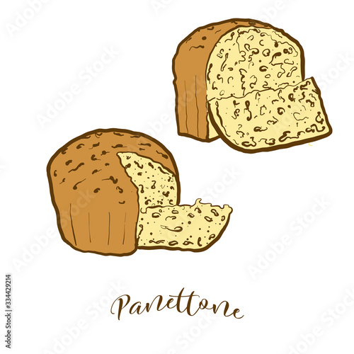Colored drawing of Panettone bread