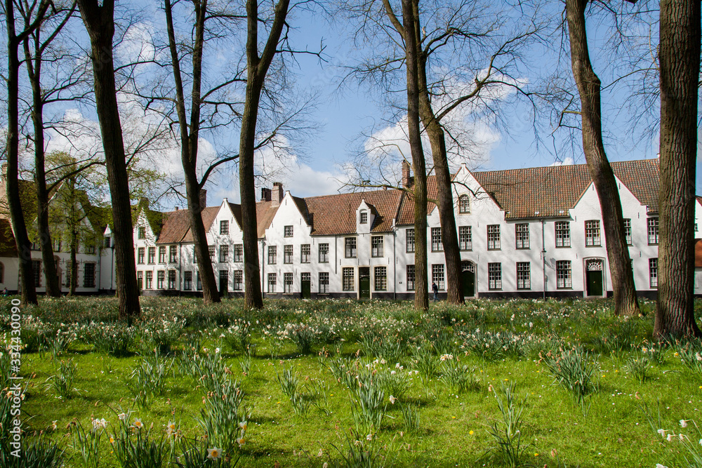 White houses are on a background of green grass on a sunny day White houses are on a background of green grass on a sunny day