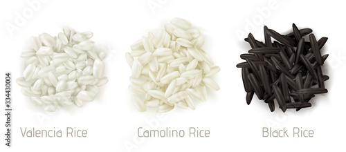 Rice valencia, camolino and wild grain piles top view isolated on white background. Vegetarian organic raw food, different cereals types for paella and healthy eating, realistic 3d vector icon