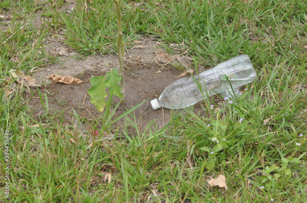 pouring water to a plant with recycle bottle technology pouring water to a plant with recycle bottle technology