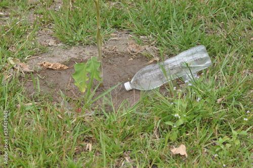 pouring water to a plant with recycle bottle technology