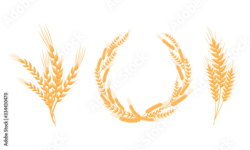 Stylized Wheat Head or Spikes Isolated on White Background Vector Set