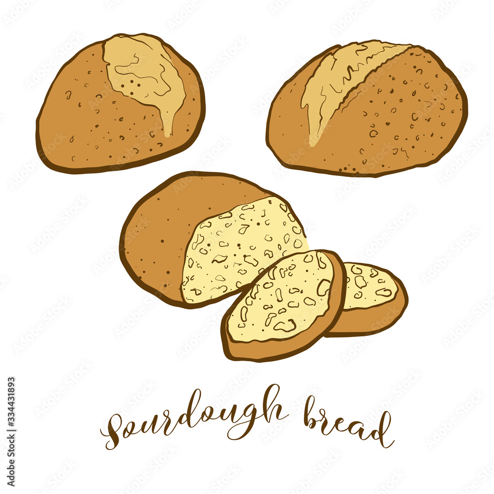 Colored drawing of Sourdough bread bread Colored drawing of Sourdough bread bread