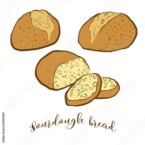 Colored drawing of Sourdough bread bread photo