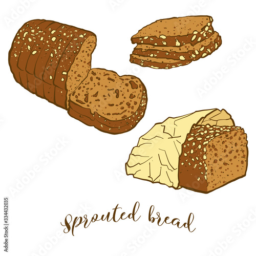 Colored drawing of Sprouted bread bread