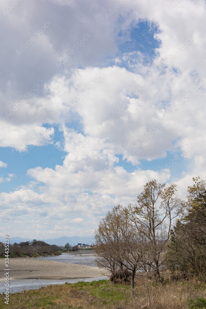 Obraz premium 川辺の風景