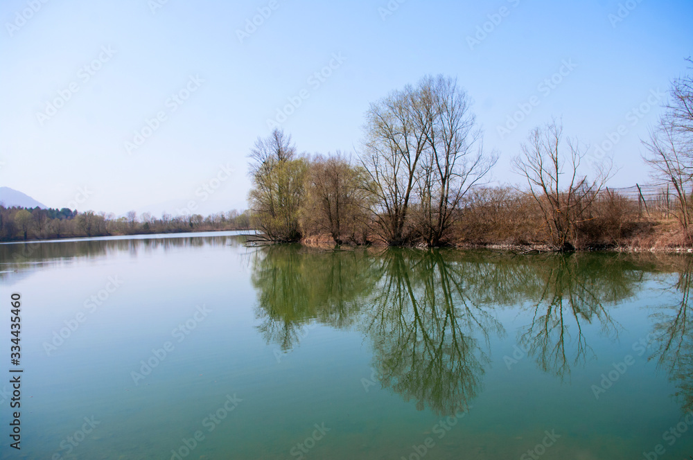 Big lake, tree trunks,branches with no leaves ,early spring countryside. Green water. Wild nature park. Slovenia