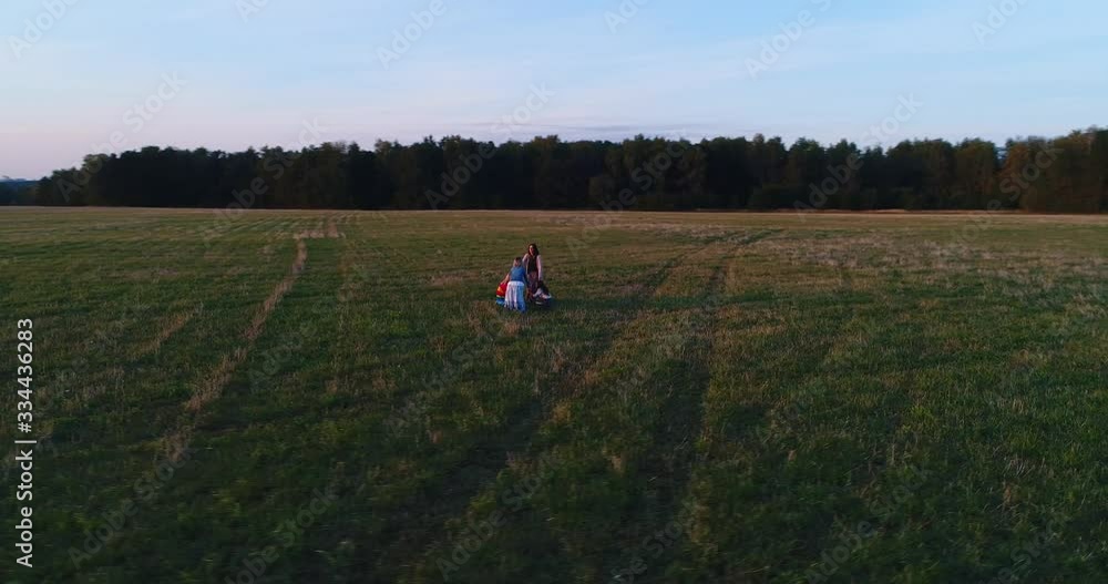 Two mothers with daughters walk and play in the field at sunset. Aerial view.
