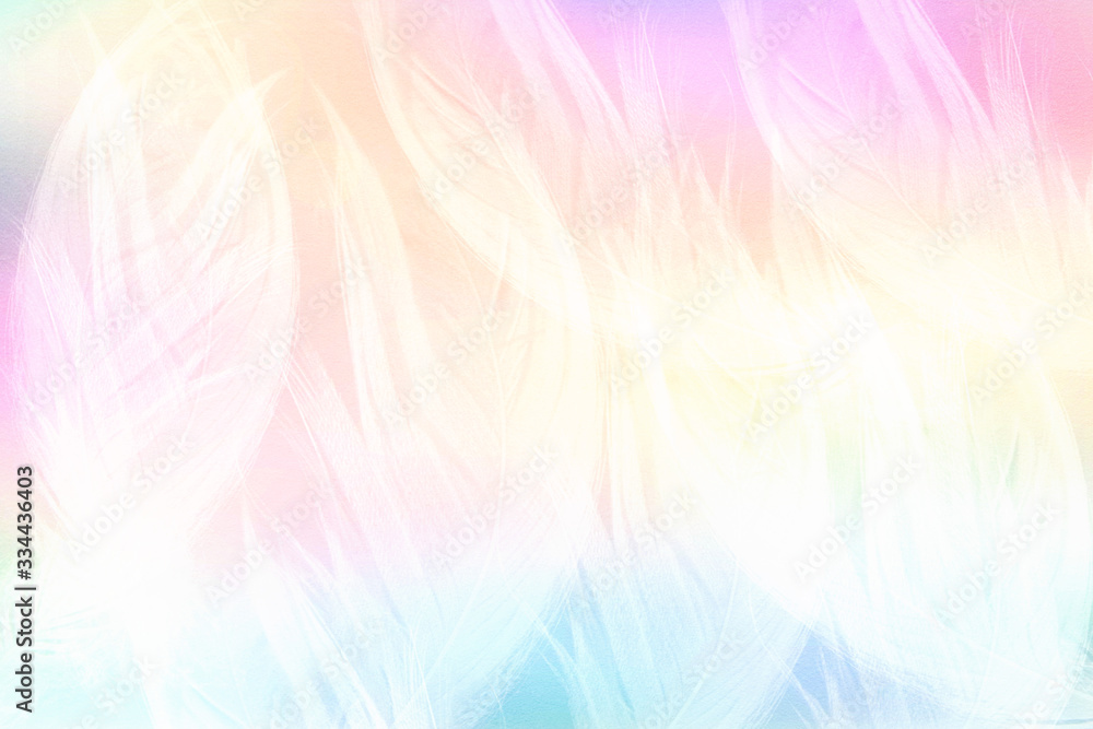 multicolored background with feathers multicolored background with feathers
