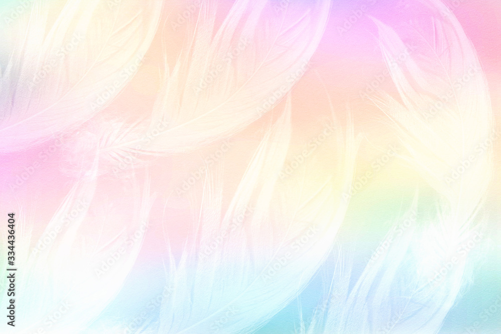multicolored background with feathers multicolored background with feathers