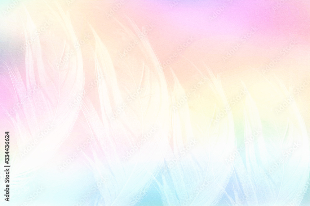 multicolored background with feathers multicolored background with feathers