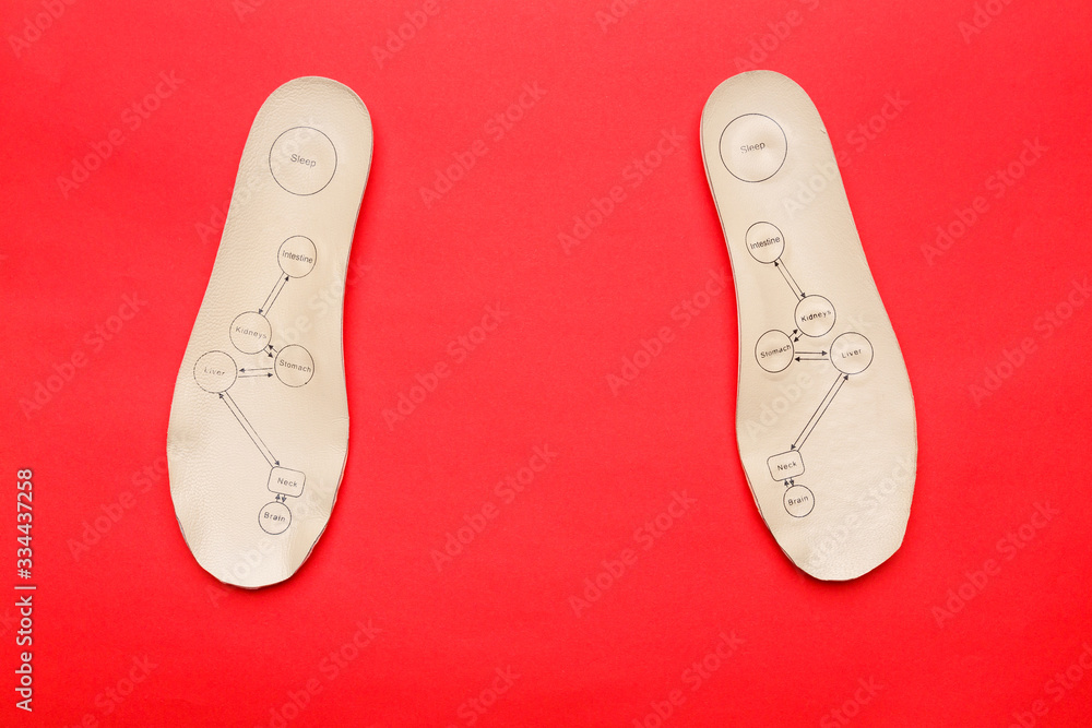 Pair of orthopedic insoles with names of human organs written on it on a red background. Pair of orthopedic insoles with names of human organs written on it on a red background.