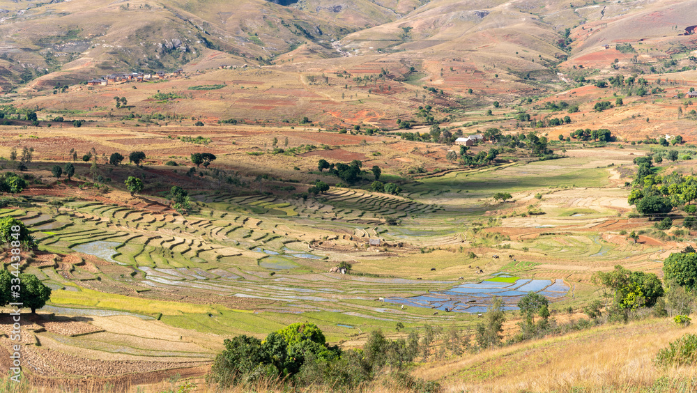 Fototapeta premium Ambatalavao, Madagascar - 29 mei 2019