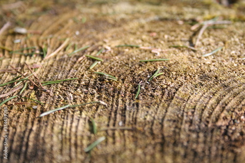 wood macro