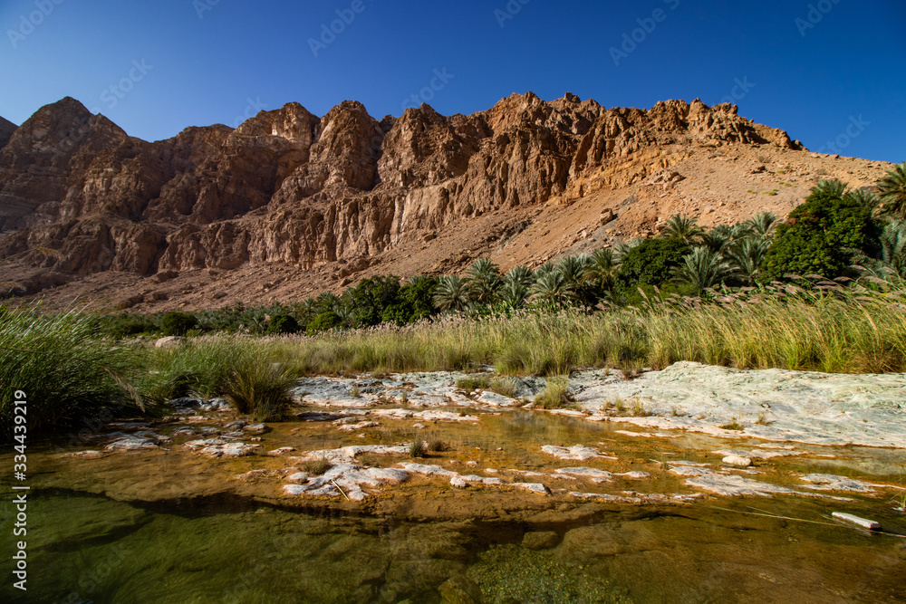 Inside the narrow canyon of Wadi Tiwi at Shab near Mascat in Oman