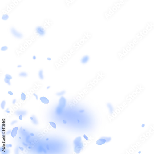 Dark blue flower petals falling down. Alluring rom