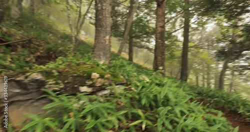 Wallpaper Mural Hiking in mountain forest, steep uphill walk first person view POV point of view Torontodigital.ca