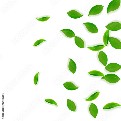 Wallpaper Mural Falling green leaves. Fresh tea neat leaves flying Torontodigital.ca