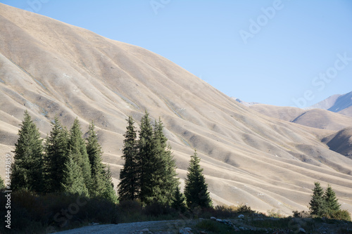Picturesque Tien Shan Mountains in the early, cool morning