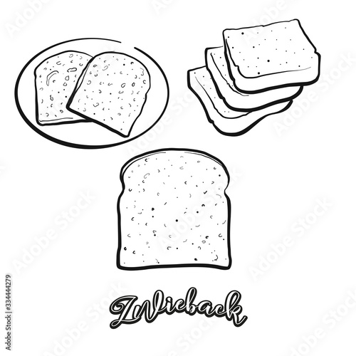 Zwieback food sketch separated on white