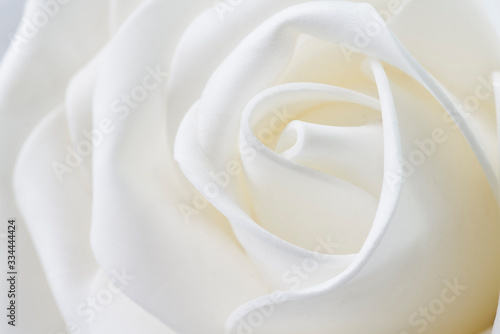 white flower shaped wavy shapes