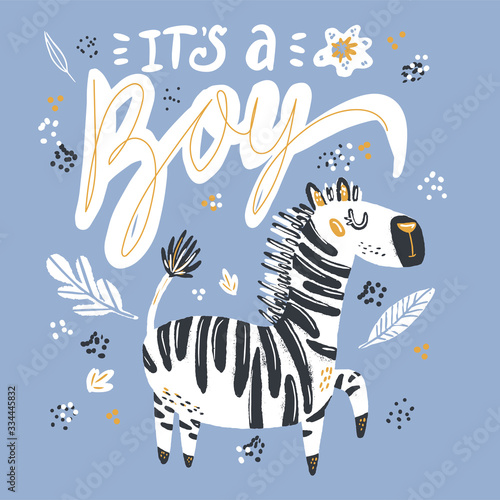 Its a boy lettering hand drawn illustration. White calligraphy on blue background. Gender reveal party vector greeting card. Cute baby zebra postcard. Baby shower  arrival celebration