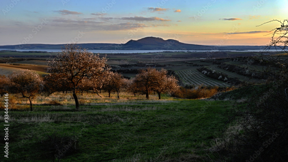 Fototapeta premium landscape with the Palava mountain in spring