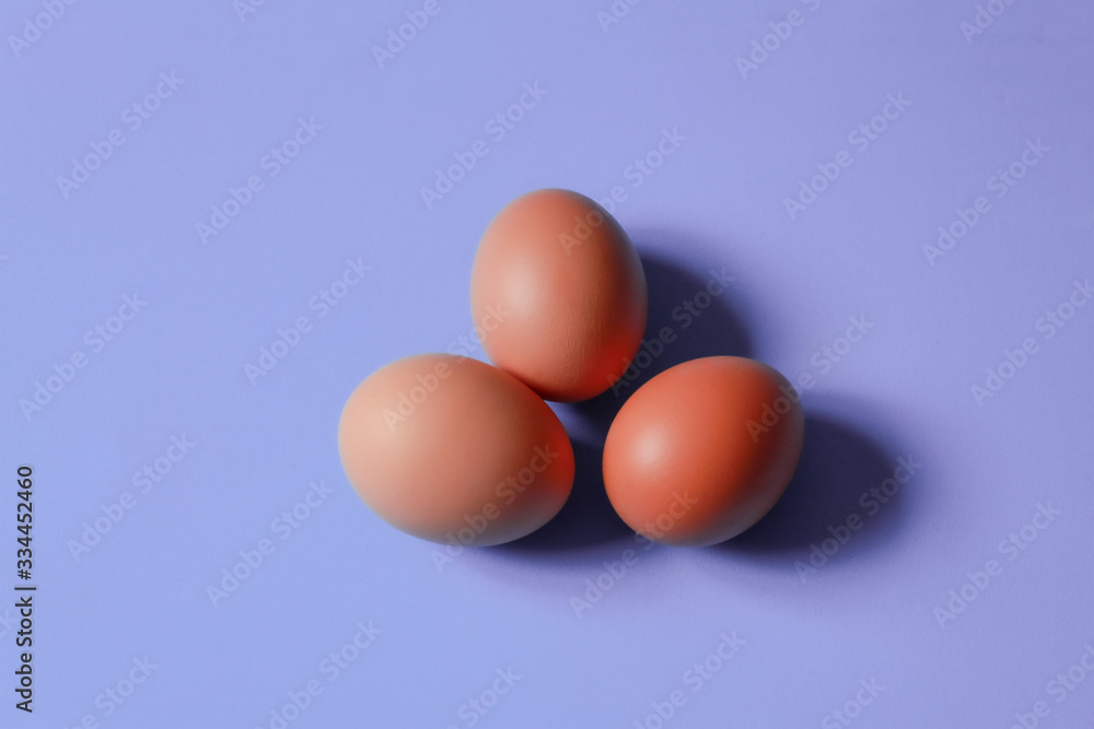 Imagen de huevos marrones de gallina ecológicos sobre fondo violeta Imagen de huevos marrones de gallina ecológicos sobre fondo violeta