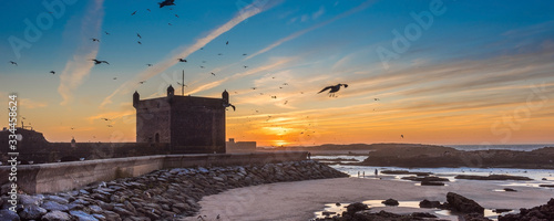 Fotografía Panorama view sunset with flying seagull at Essaouira and view of the old Fort, Essaouira, Morocco
