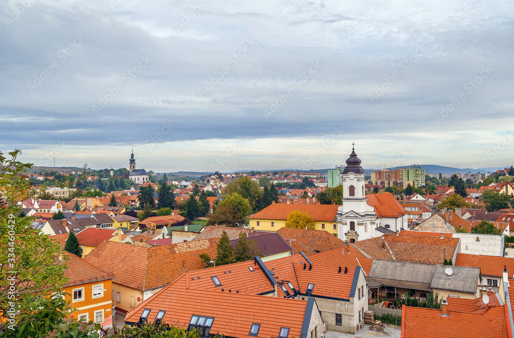 View of Eger, Hungary View of Eger, Hungary