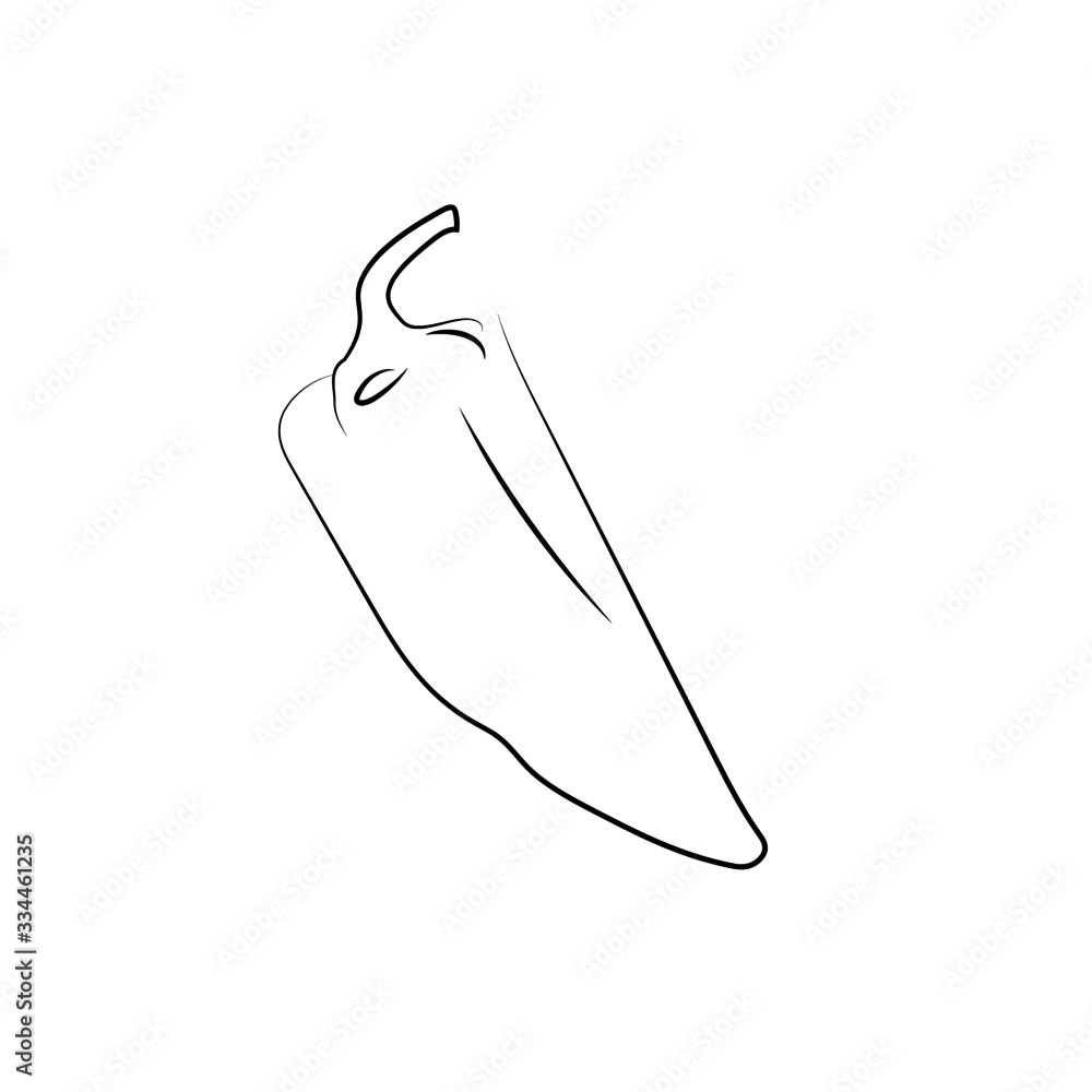 vector illustration of vegetables, peppers . culinary illustration of products on a white background vector illustration of vegetables, peppers . culinary illustration of products on a white background
