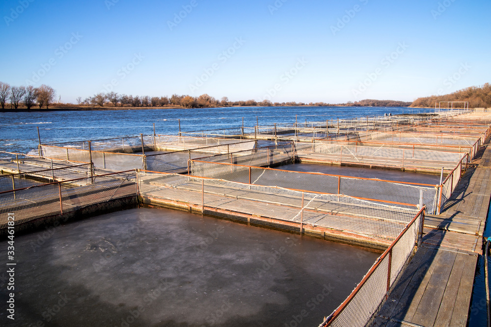 Cages for fish farming in the natural river