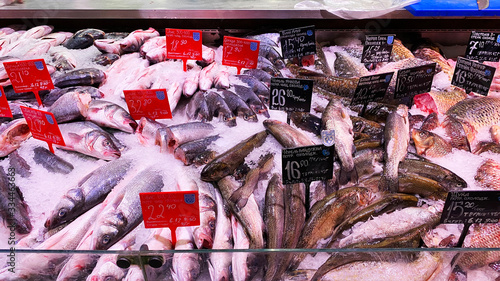 LVIV, UKRAINE - December 6, 2019: Chilled fish at the store counter. Lots of fish to choose from.