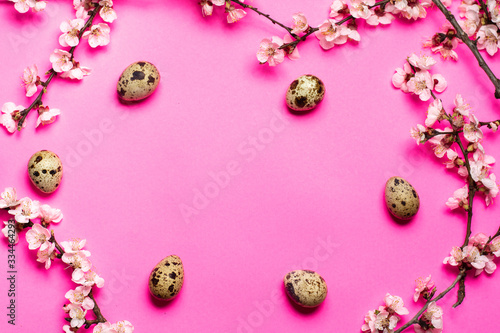 six quail eggs arranged in a circle near flowering branches on a pink background. place for text.