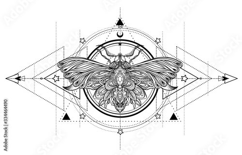 Black and white butterfly over sacred geometry sign, isolated vector illustration. Tattoo sketch. Mystical symbols and insects. Alchemy, occultism, spirituality, coloring book. Hand-drawn vintage.