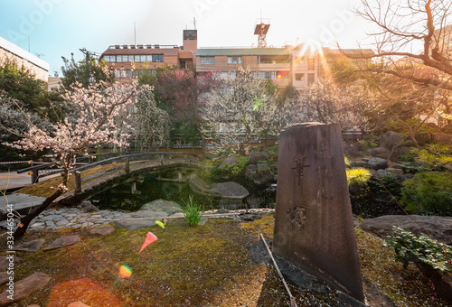 Fudezuka stone monument in the Yushima Tenmangu shrine of Tokyo dedicated to the pre-war Japanese writer Kyōka Izumi whose novel was adapted for the film The Romance of Yushima in 1955 photo