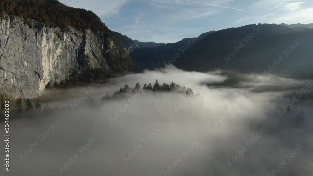 Aerial descending down to fog in forest valley next to cliff. Austria, Europe Aerial descending down to fog in forest valley next to cliff. Austria, Europe